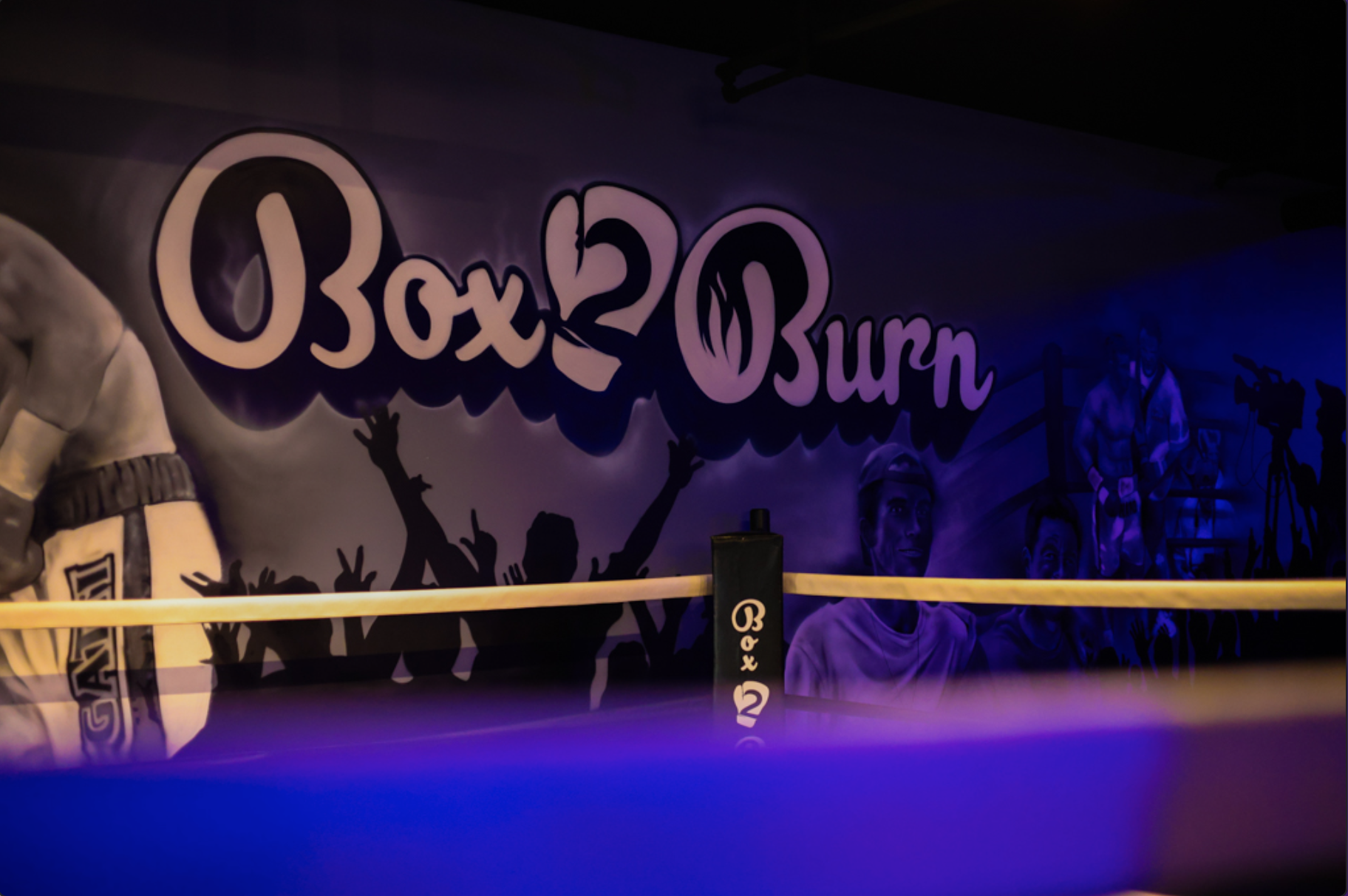 Box2Burn brings boxing based fitness and community - WestfordCAT